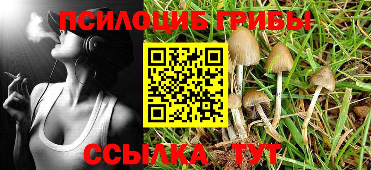 Галлюциногенные грибы мицелий Мурманск